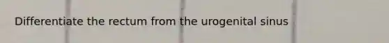 Differentiate the rectum from the urogenital sinus