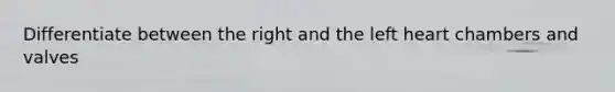 Differentiate between the right and the left heart chambers and valves