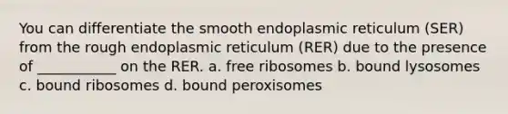 You can differentiate the smooth endoplasmic reticulum (SER) from the rough endoplasmic reticulum (RER) due to the presence of ___________ on the RER. a. free ribosomes b. bound lysosomes c. bound ribosomes d. bound peroxisomes