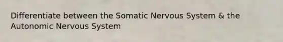 Differentiate between the Somatic Nervous System & the Autonomic Nervous System