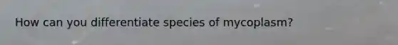 How can you differentiate species of mycoplasm?