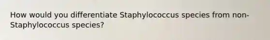 How would you differentiate Staphylococcus species from non-Staphylococcus species?