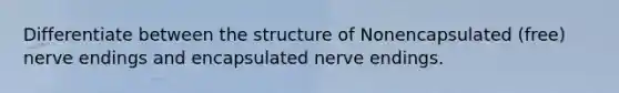 Differentiate between the structure of Nonencapsulated (free) nerve endings and encapsulated nerve endings.