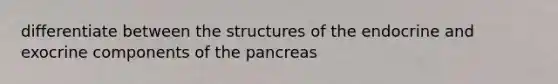 differentiate between the structures of the endocrine and exocrine components of the pancreas