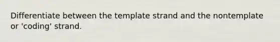 Differentiate between the template strand and the nontemplate or 'coding' strand.