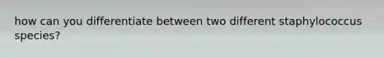 how can you differentiate between two different staphylococcus species?