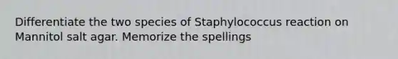 Differentiate the two species of Staphylococcus reaction on Mannitol salt agar. Memorize the spellings