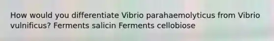 How would you differentiate Vibrio parahaemolyticus from Vibrio vulnificus? Ferments salicin Ferments cellobiose