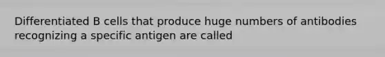 Differentiated B cells that produce huge numbers of antibodies recognizing a specific antigen are called