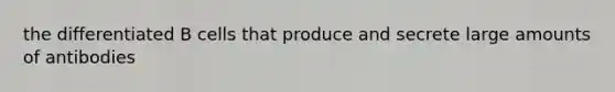 the differentiated B cells that produce and secrete large amounts of antibodies