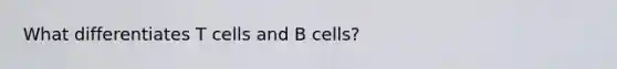 What differentiates T cells and B cells?