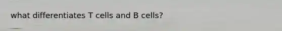 what differentiates T cells and B cells?