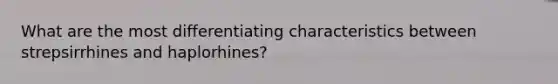 What are the most differentiating characteristics between strepsirrhines and haplorhines?