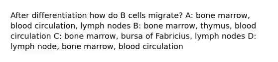 After differentiation how do B cells migrate? A: bone marrow, blood circulation, lymph nodes B: bone marrow, thymus, blood circulation C: bone marrow, bursa of Fabricius, lymph nodes D: lymph node, bone marrow, blood circulation