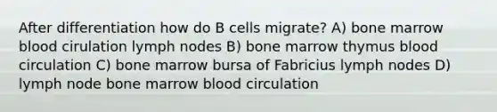 After differentiation how do B cells migrate? A) bone marrow blood cirulation lymph nodes B) bone marrow thymus blood circulation C) bone marrow bursa of Fabricius lymph nodes D) lymph node bone marrow blood circulation