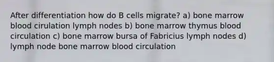 After differentiation how do B cells migrate? a) bone marrow blood cirulation lymph nodes b) bone marrow thymus blood circulation c) bone marrow bursa of Fabricius lymph nodes d) lymph node bone marrow blood circulation