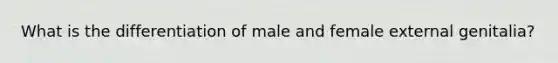 What is the differentiation of male and female external genitalia?