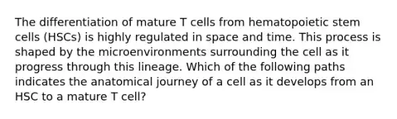 The differentiation of mature T cells from hematopoietic stem cells (HSCs) is highly regulated in space and time. This process is shaped by the microenvironments surrounding the cell as it progress through this lineage. Which of the following paths indicates the anatomical journey of a cell as it develops from an HSC to a mature T cell?