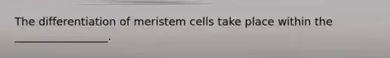 The differentiation of meristem cells take place within the _________________.