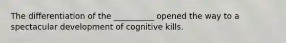 The differentiation of the __________ opened the way to a spectacular development of cognitive kills.