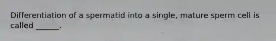 Differentiation of a spermatid into a single, mature sperm cell is called ______.