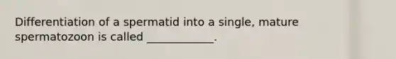 Differentiation of a spermatid into a single, mature spermatozoon is called ____________.