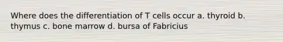 Where does the differentiation of T cells occur a. thyroid b. thymus c. bone marrow d. bursa of Fabricius