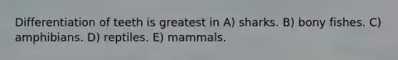 Differentiation of teeth is greatest in A) sharks. B) bony fishes. C) amphibians. D) reptiles. E) mammals.