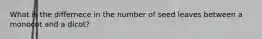 What is the differnece in the number of seed leaves between a monocot and a dicot?