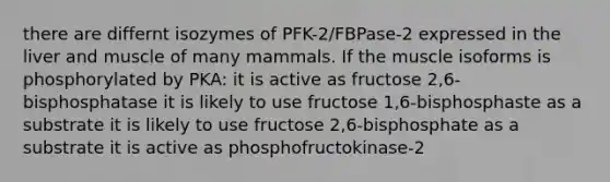 there are differnt isozymes of PFK-2/FBPase-2 expressed in the liver and muscle of many mammals. If the muscle isoforms is phosphorylated by PKA: it is active as fructose 2,6-bisphosphatase it is likely to use fructose 1,6-bisphosphaste as a substrate it is likely to use fructose 2,6-bisphosphate as a substrate it is active as phosphofructokinase-2