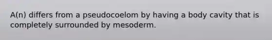 A(n) differs from a pseudocoelom by having a body cavity that is completely surrounded by mesoderm.