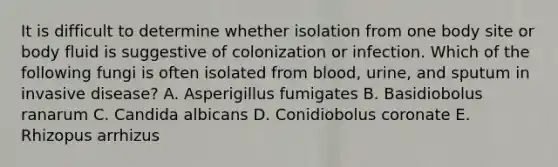 It is difficult to determine whether isolation from one body site or body fluid is suggestive of colonization or infection. Which of the following fungi is often isolated from blood, urine, and sputum in invasive disease? A. Asperigillus fumigates B. Basidiobolus ranarum C. Candida albicans D. Conidiobolus coronate E. Rhizopus arrhizus