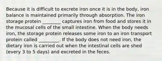 Because it is difficult to excrete iron once it is in the body, iron balance is maintained primarily through absorption. The iron storage protein ________ captures iron from food and stores it in the mucosal cells of the small intestine. When the body needs iron, the storage protein releases some iron to an iron transport protein called _________. If the body does not need iron, the dietary iron is carried out when the intestinal cells are shed (every 3 to 5 days) and excreted in the feces.