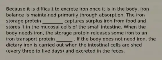 Because it is difficult to excrete iron once it is in the body, iron balance is maintained primarily through absorption. The iron storage protein _________ captures surplus iron from food and stores it in the mucosal cells of the small intestine. When the body needs iron, the storage protein releases some iron to an iron transport protein _______ . If the body does not need iron, the dietary iron is carried out when the intestinal cells are shed (every three to five days) and excreted in the feces.