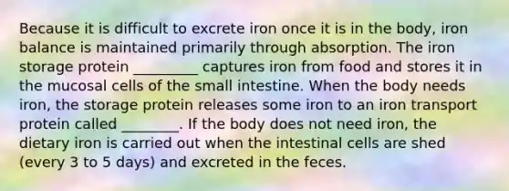 Because it is difficult to excrete iron once it is in the body, iron balance is maintained primarily through absorption. The iron storage protein _________ captures iron from food and stores it in the mucosal cells of <a href='https://www.questionai.com/knowledge/kt623fh5xn-the-small-intestine' class='anchor-knowledge'>the small intestine</a>. When the body needs iron, the storage protein releases some iron to an iron transport protein called ________. If the body does not need iron, the dietary iron is carried out when the intestinal cells are shed (every 3 to 5 days) and excreted in the feces.