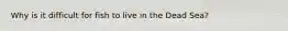 Why is it difficult for fish to live in the Dead Sea?