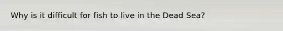 Why is it difficult for fish to live in the Dead Sea?
