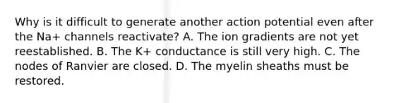 Why is it difficult to generate another action potential even after the Na+ channels reactivate? A. The ion gradients are not yet reestablished. B. The K+ conductance is still very high. C. The nodes of Ranvier are closed. D. The myelin sheaths must be restored.