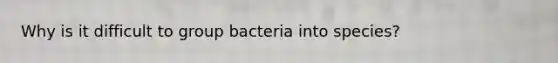 Why is it difficult to group bacteria into species?