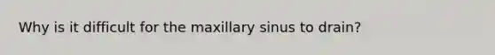 Why is it difficult for the maxillary sinus to drain?