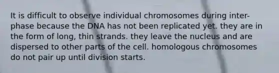 It is difficult to observe individual chromosomes during inter- phase because the DNA has not been replicated yet. they are in the form of long, thin strands. they leave the nucleus and are dispersed to other parts of the cell. homologous chromosomes do not pair up until division starts.