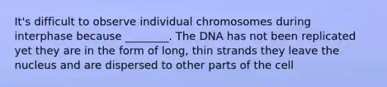 It's difficult to observe individual chromosomes during interphase because ________. The DNA has not been replicated yet they are in the form of long, thin strands they leave the nucleus and are dispersed to other parts of the cell