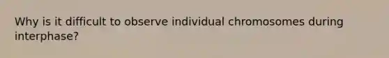 Why is it difficult to observe individual chromosomes during interphase?