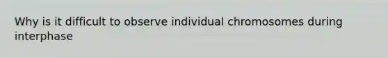 Why is it difficult to observe individual chromosomes during interphase