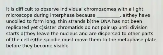 It is difficult to observe individual chromosomes with a light microscope during interphase because __________. a)they have uncoiled to form long, thin strands b)the DNA has not been replicated yet c)sister chromatids do not pair up until division starts d)they leave the nucleus and are dispersed to other parts of the cell e)the spindle must move them to the metaphase plate before they become visible