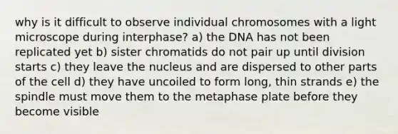 why is it difficult to observe individual chromosomes with a light microscope during interphase? a) the DNA has not been replicated yet b) sister chromatids do not pair up until division starts c) they leave the nucleus and are dispersed to other parts of the cell d) they have uncoiled to form long, thin strands e) the spindle must move them to the metaphase plate before they become visible