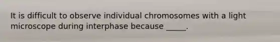 It is difficult to observe individual chromosomes with a light microscope during interphase because _____.