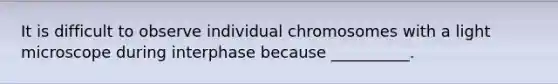 It is difficult to observe individual chromosomes with a light microscope during interphase because __________.