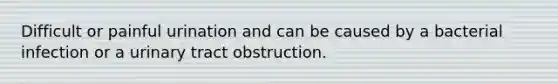 Difficult or painful urination and can be caused by a bacterial infection or a urinary tract obstruction.