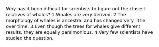 Why has it been difficult for scientists to figure out the closest relatives of whales? 1.Whales are very derived. 2.The morphology of whales is ancestral and has changed very little over time. 3.Even though the trees for whales give different results, they are equally parsimonious. 4.Very few scientists have studied the question.